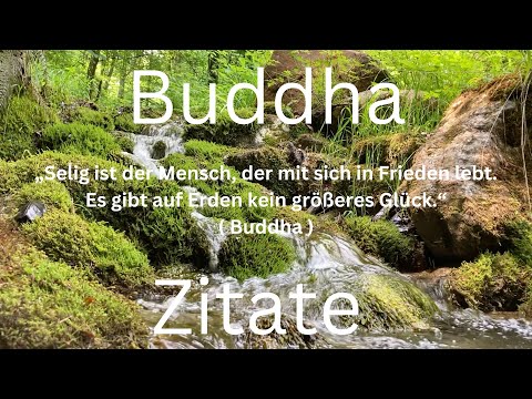 Handpan Musik mit Zitaten #6, ( gelernt von Paul Erdmann @Handpanschule ) D Kurd 8+1 Edelstahl