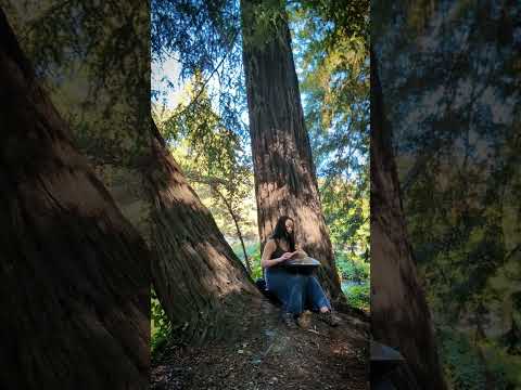 under some redwoods today #handpan #handpanmusic #naturevibes #atmosphericmusic