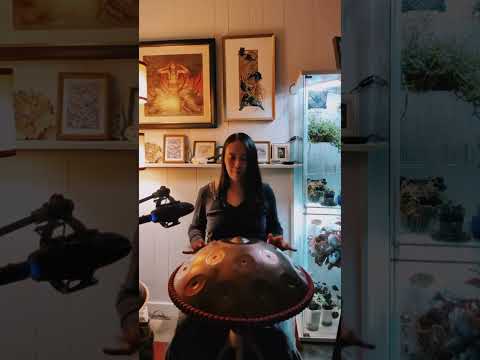 Handpan music: c# harmonic minor 22 Handromeda