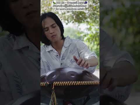 Tranquil heart - handpan music @Handpanion