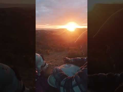 Breathtaking Sunset & Handpan. #foryou #fyp #shorts #viralvideo viral #dog #sunset #beautiful