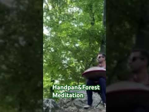 MEDITATIV HANDPAN & FOREST (FULL VERSION ON CHANNEL) USE 🎧 #handpan #meditation #relaxe