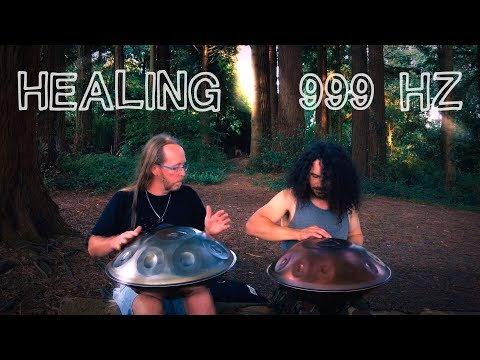 Under The Redwoods (999 Hz) | Healing 1 Hour Handpan Meditation Music | E Amara & E2 Pygmy