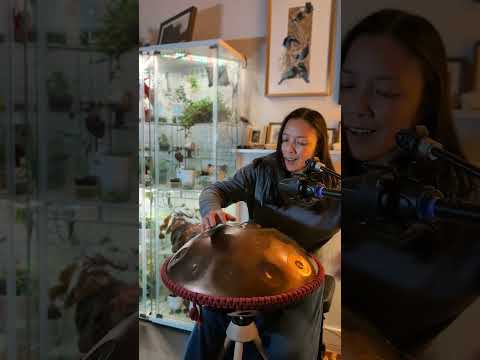 some rhythmic fun - Handpan: G major 19 Elysian Instruments