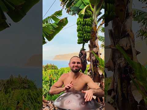 I Played In The Most BEAUTIFUL BANANA Tree Field #handpan #nature #relaxingmusic