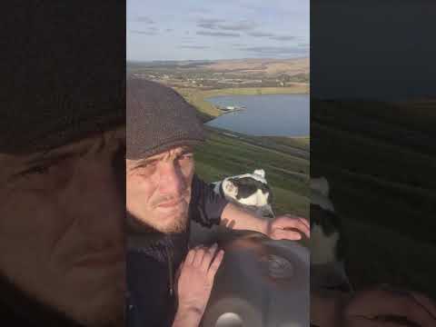 Handpan in Wales #mountain #lake #dog #dogs #music #outside #viral #fyp #for #foryou #Wales
