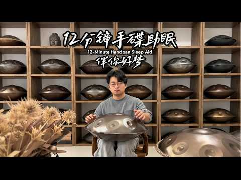聽完這支手碟曲還能不困的，算我輸！貌似清晨六點更容易錄出更助眠的手碟旋律，12 分鐘純享送給你們！#handpan#music#youtubeshorts