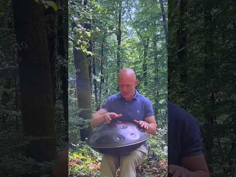 Dreamy Handpan Groove in the Forest