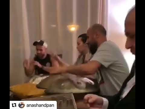 Handpan jam dubai handpan famillia by anashandpan