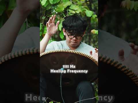 Be calm in the wilderness | handpan music @Handpanion