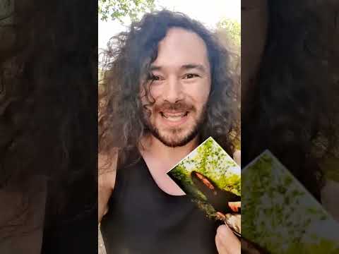 My First Album!!! | Handpan Music