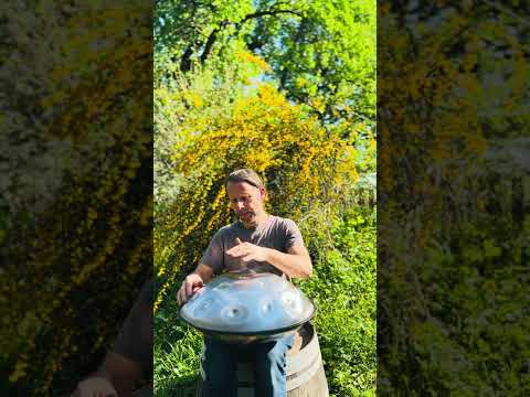 Joy of Summer | Alwin Steinle | Handpan La Sirena #handpan #handpanmusic #music #flow #summer