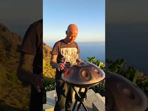 Mooooo... 🐄🏝️🛸🎶 Playing handpan in a duet with my neighbor cow...
