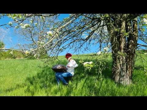 Handpan Entspannung - springtime - Gios Instruments C Annaziska 16+1