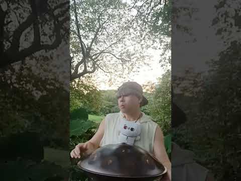 手碟 D Aegean｜願你平安｜Handpan Healing