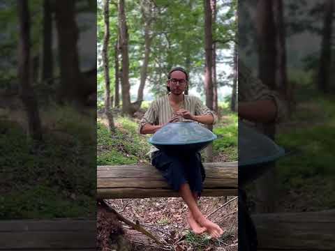 Handpan in the forrest