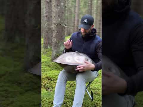 Handpan D-kurd                                   #chillvibes #music #handpan #forest