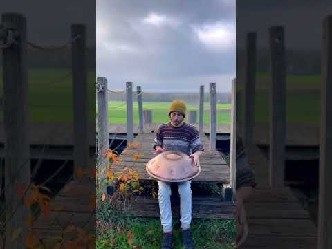 Disco ArmonicoF2 Pygmy Handpan