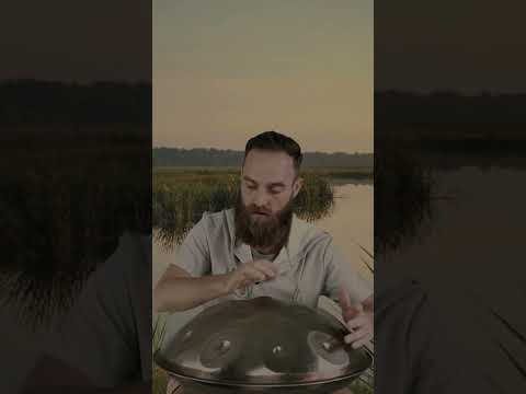 A Melody That Belongs in Nature 🌲 | Planet Ding