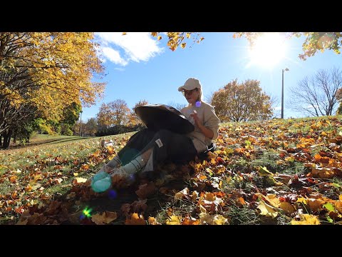 Slient Siren丨Handpan D Kurd 10丨Emily Zhu