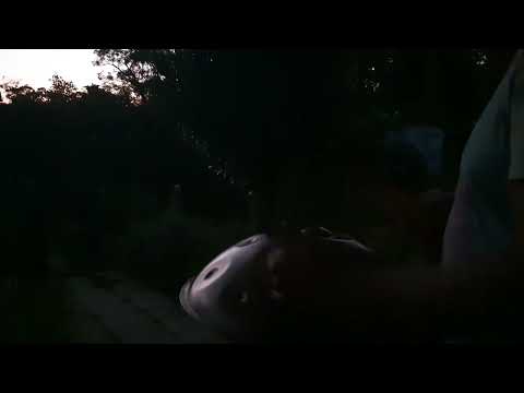 Nighttime Greeting