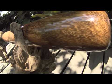 Didgeridoo from Rasamala wood 153 cm – F