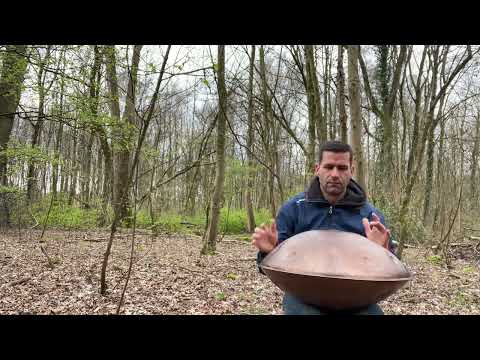 Meditativ handpan with forest sounds - F# low pygmy 21