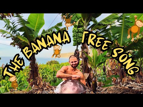 If Banana Trees Had A THEME SONG