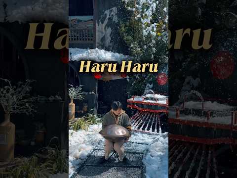 Haru haru dưới tuyết ❄️ #chihung #handpan #handpanvietnam
