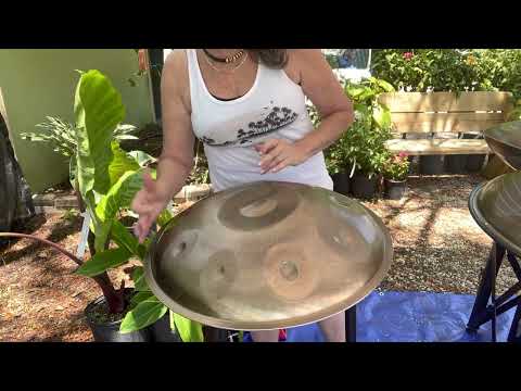 🛸🎶..Gig - Playing - Wind - Tripod - and yet, check out how quick I (still) am!!  lol… 😄🦋🎶🛸