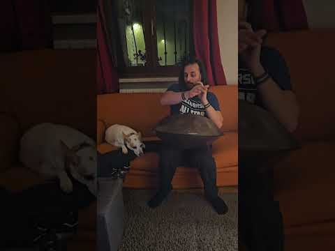 Handpan Music | Handpan Meditation