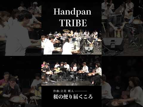 満開の桜のような倍音の重なり | Handpan Tribe「桜の便り届くころ」