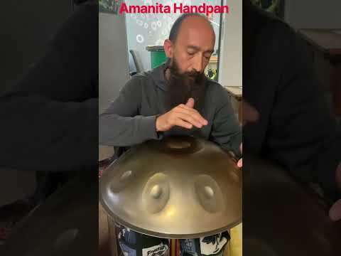 Amanita🍄Handpan C# Pygmy 17