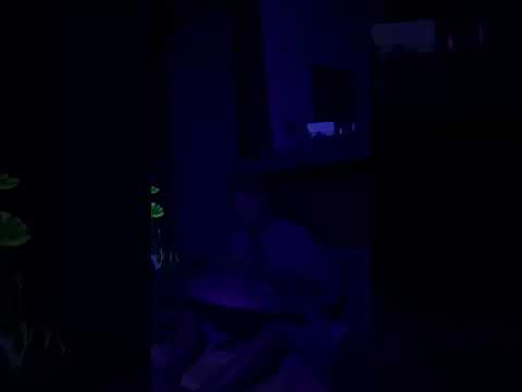 Viaje a las Estrellas: Frecuencias de Hang (Parte 2)