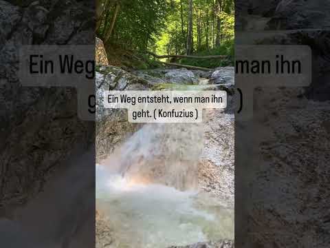 Handpan Musik mit Zitaten #shorts, D Kurd 8+1 Edelstahl