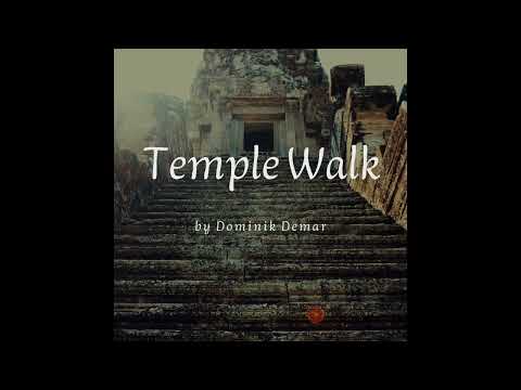 handpan meditation music | Temple Walk - Dominik Demar