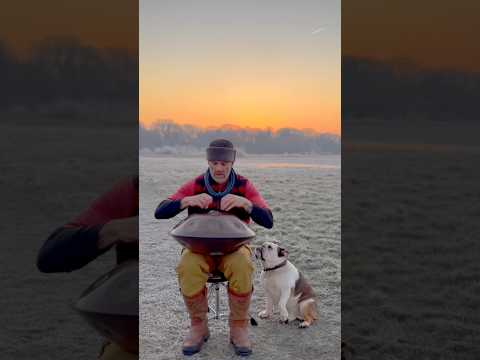 Cold but stunning early sunrise 🐶💚 #handpanmusic #handpan