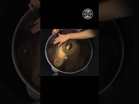 Eclipse D Hijaz 9 #handpan #handpanworld