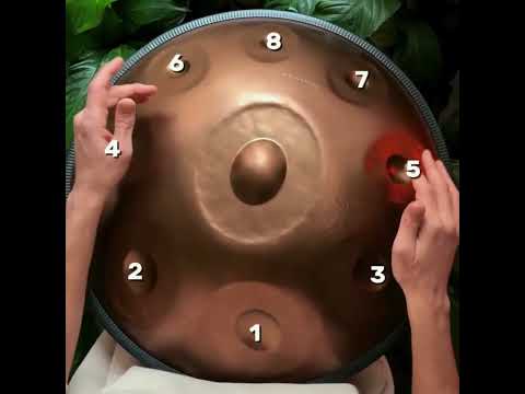 D Kurd 9 Handpan - Stainless Steel | Zendō Sounds