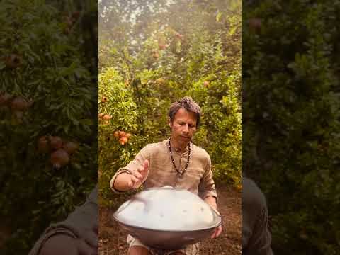 Let your soul be your pilot | Alwin Steinle | Handpan LaSirena  #handpan #handpanmusic #music #flow