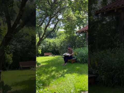 garden impro 🥰 #handpan #handpanmusic #nature #garden #calm #calmmusic #emotional #yogamusic