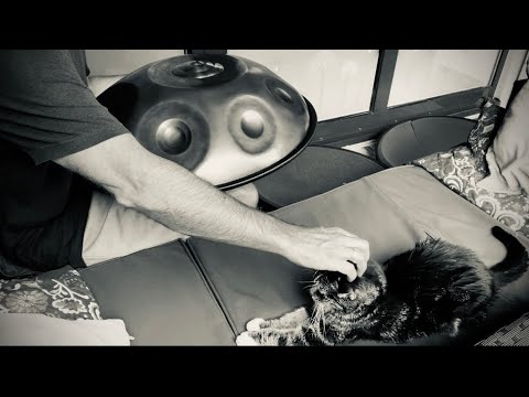Handpan A2 - Ruhe in Frieden mein Freund 😿