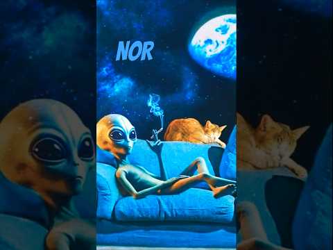 صدایی از کهکشان 👽👌گفتند که شش جهت همه نور خداست فریاد ز حلق خاست کان نور کجاست #هنگدرام #handpan