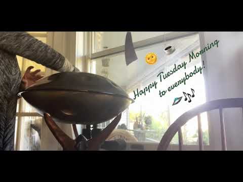 🛸🎶🌞☕️ Starting out my day with sunshine, coffee and a Dm Celtic pan by@arcanamusicalinstruments5557