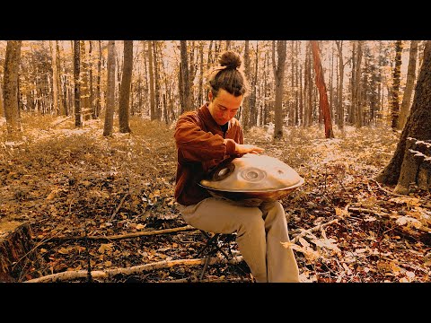 Meditation music | 1 hour of Handpan in the forest | no AI, 4k