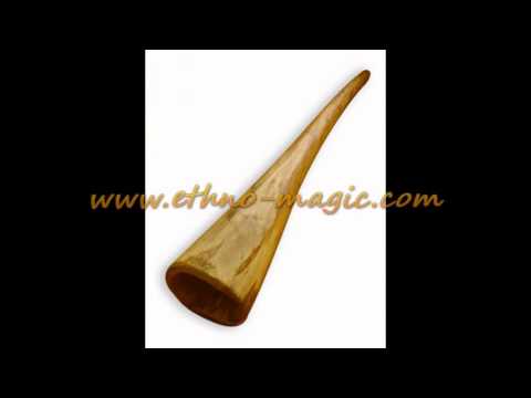 Didgeridoo from Eucaliptus for beginners