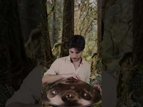 Unexpected Sounds from a Handpan 🌌 | Planet Ding