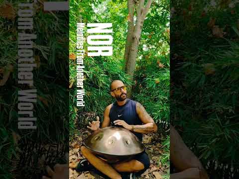 Echoes of Light ☀️ #HangDrum #Light #HealingFrequency #Meditation #Peace #Relax