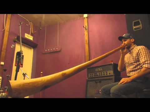 Didgeridoo for sale