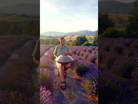 Łukasz Dembiński - Festiwal Lawendy I HANDPAN F# Low Pygmy 21 💜🛸 #handpanmusic #handpan #lavender
